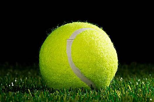 育評論員 育評論員