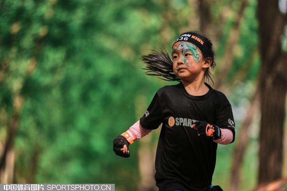 國王隊新星 國王隊新星