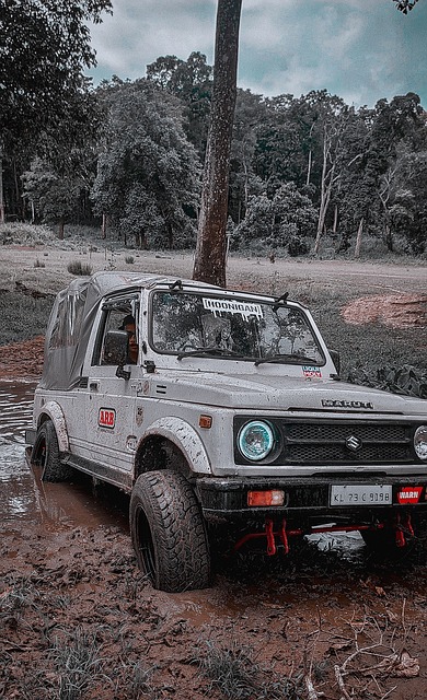 的重要标志 的重要标志