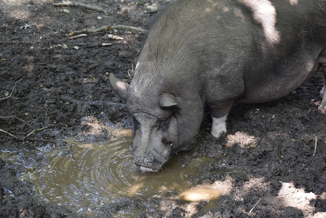 引人注目 引人注目