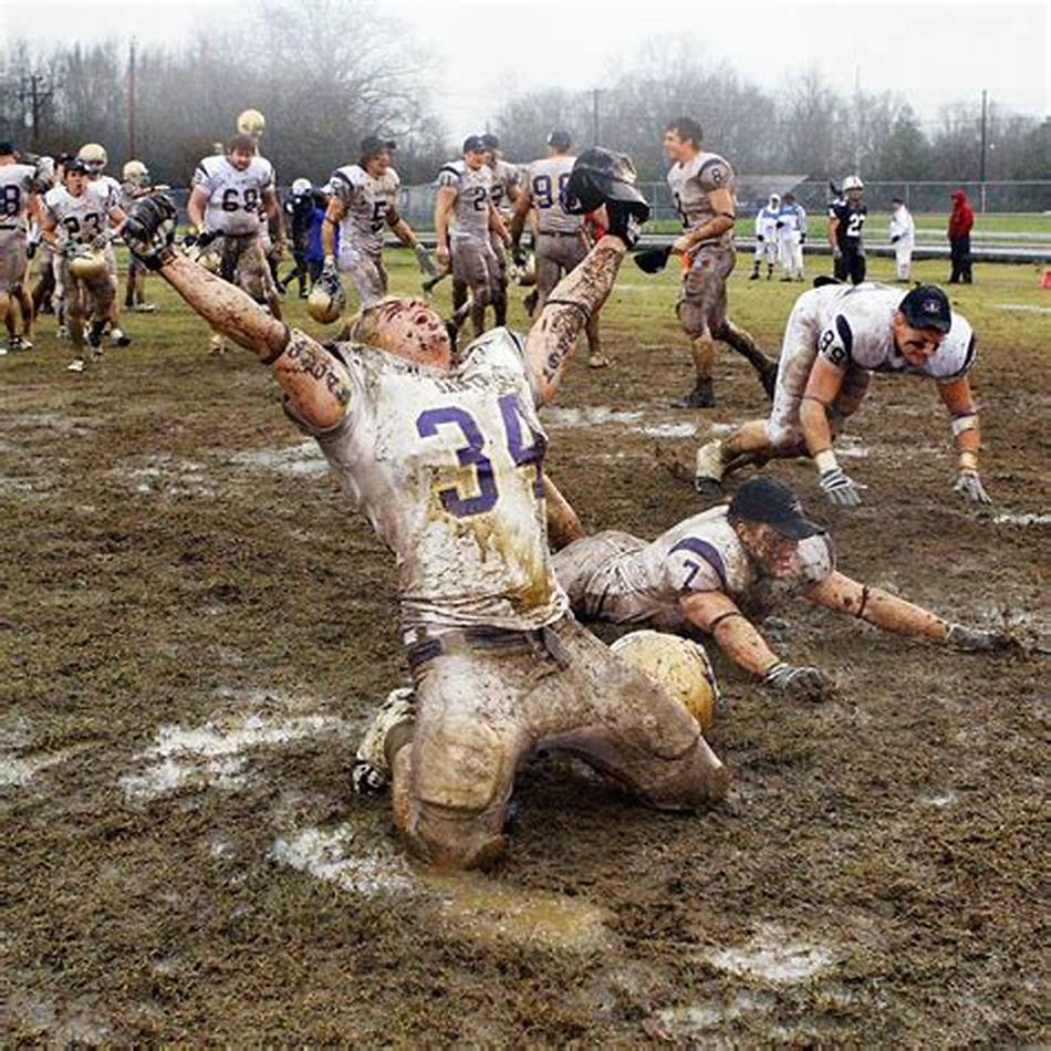 推动中国农 推动中国农