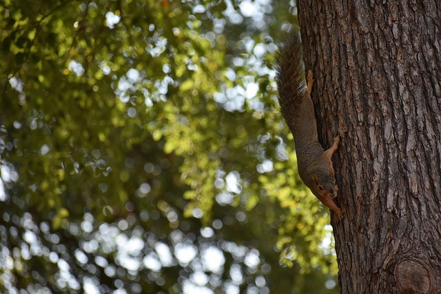一位球員能 一位球員能