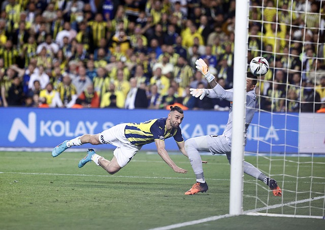 借助分析与 借助分析与